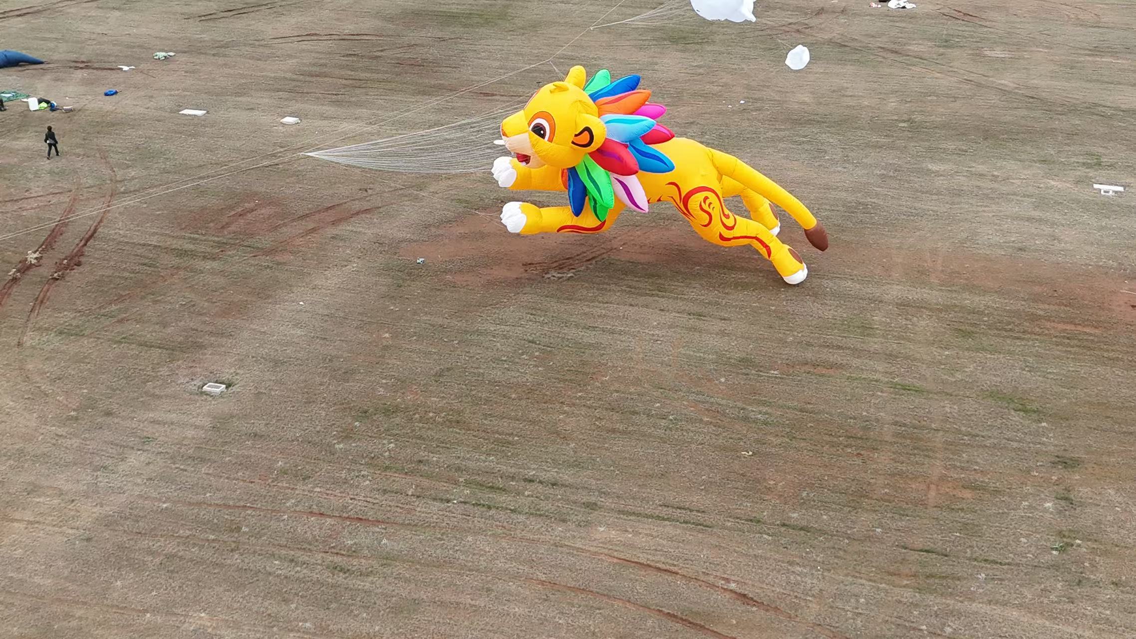 吕梁市品牌风筝定制风筝定制 - 方案