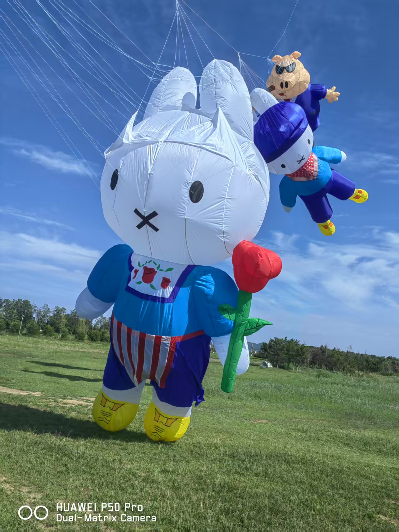 吕梁市儿童风筝定制风筝批发 - 厂家
