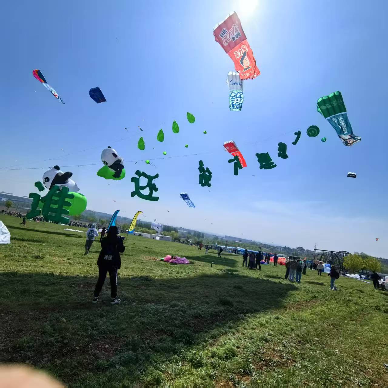 吕梁市风筝商业放飞风筝定制 - 推荐